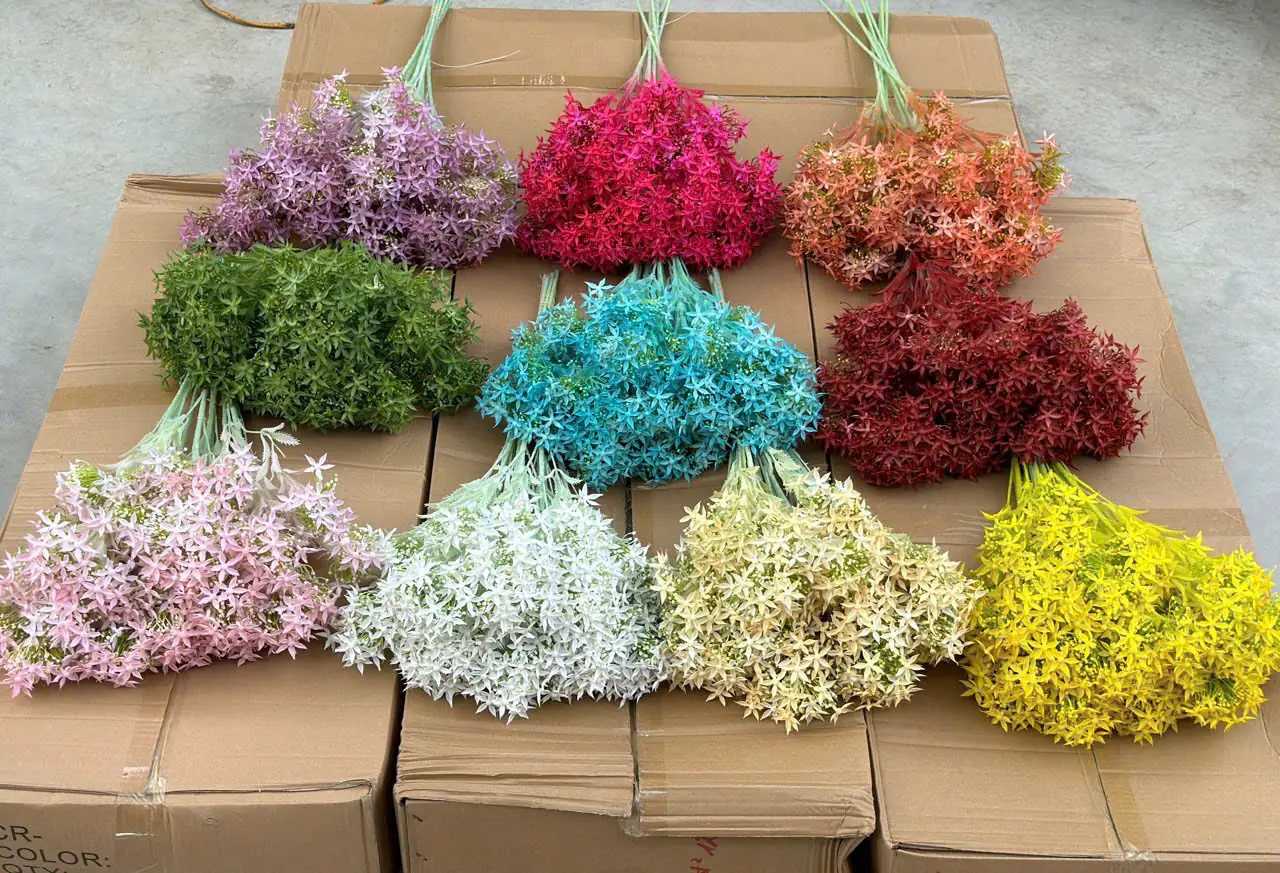 Điểm Thiên Nga Siêu Xinh - Ảnh 3