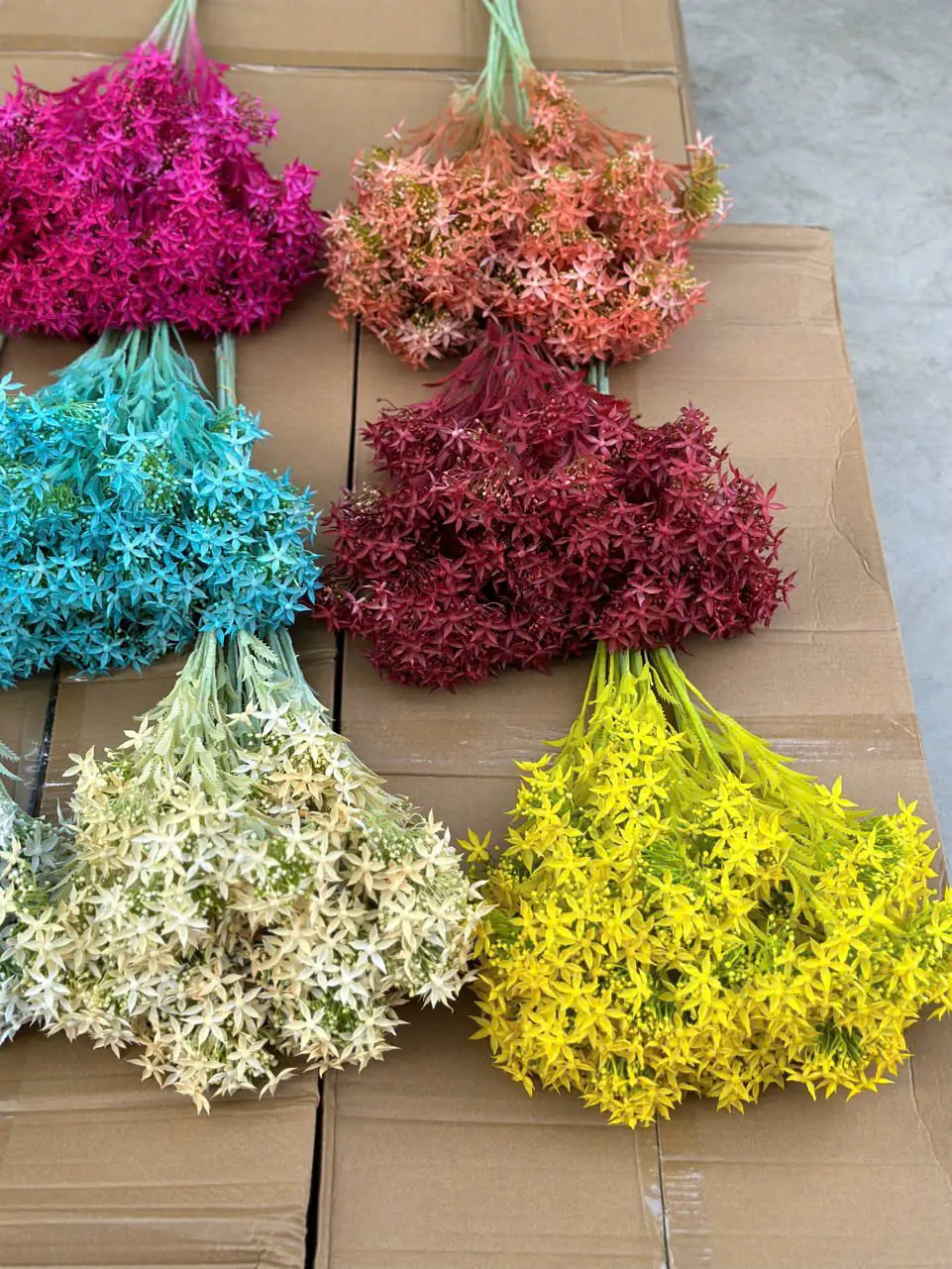 Điểm Thiên Nga Siêu Xinh - Ảnh 4