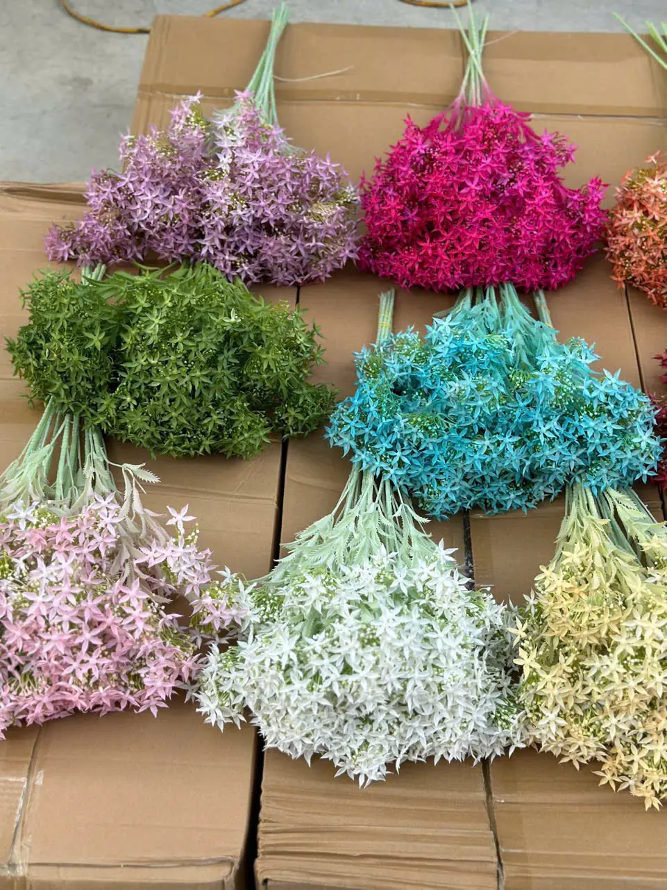 Điểm Thiên Nga Siêu Xinh - Ảnh 5