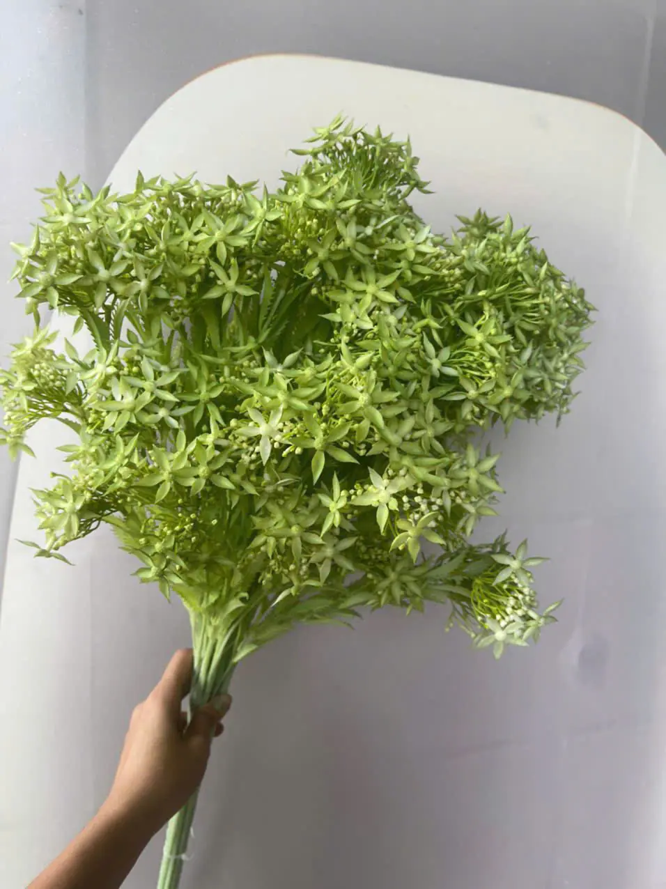 Điểm Thiên Nga Siêu Xinh - Ảnh 7