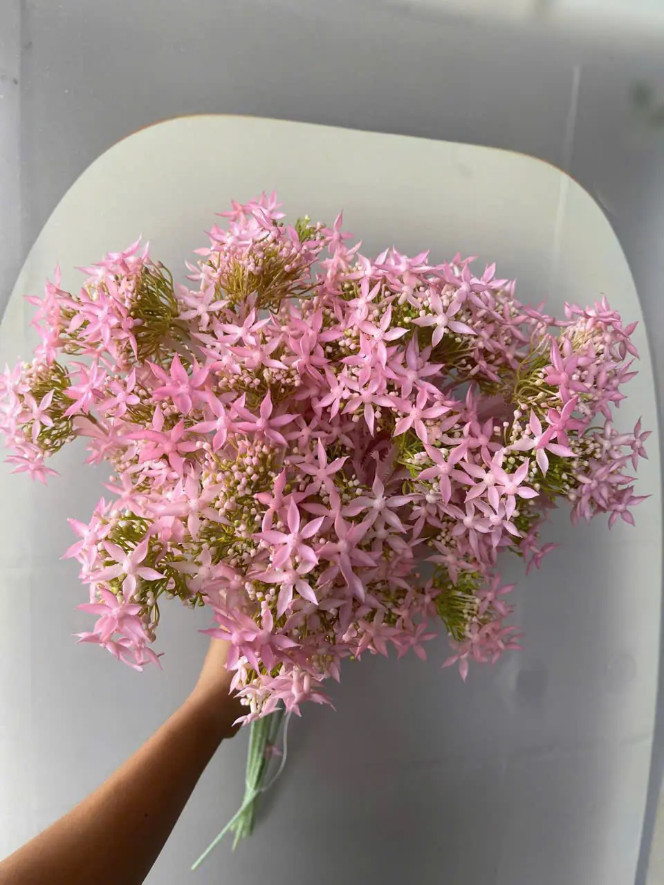 Điểm Thiên Nga Siêu Xinh - Ảnh 8