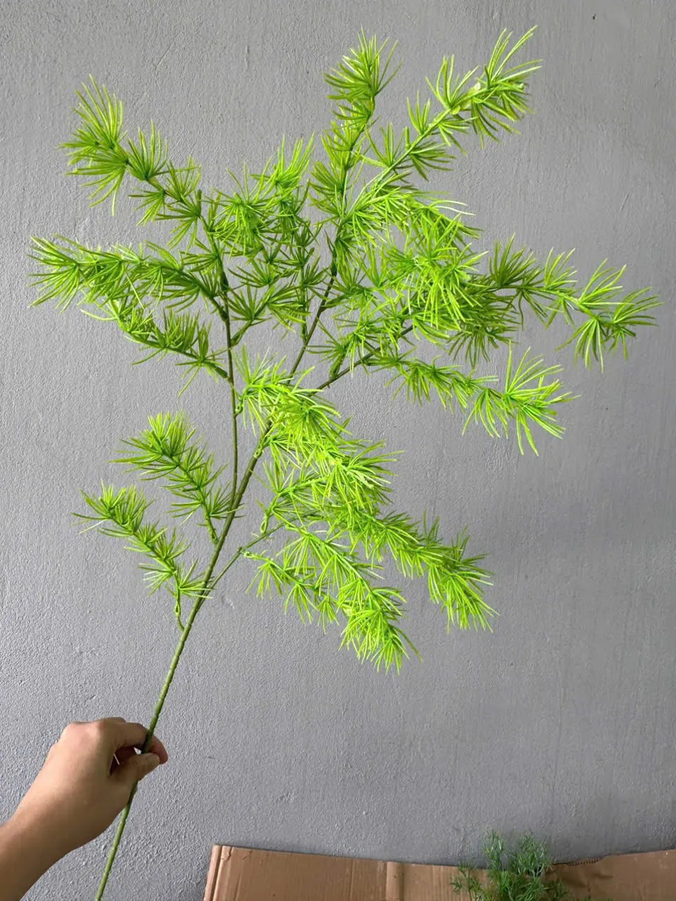 Điểm Thông Đại