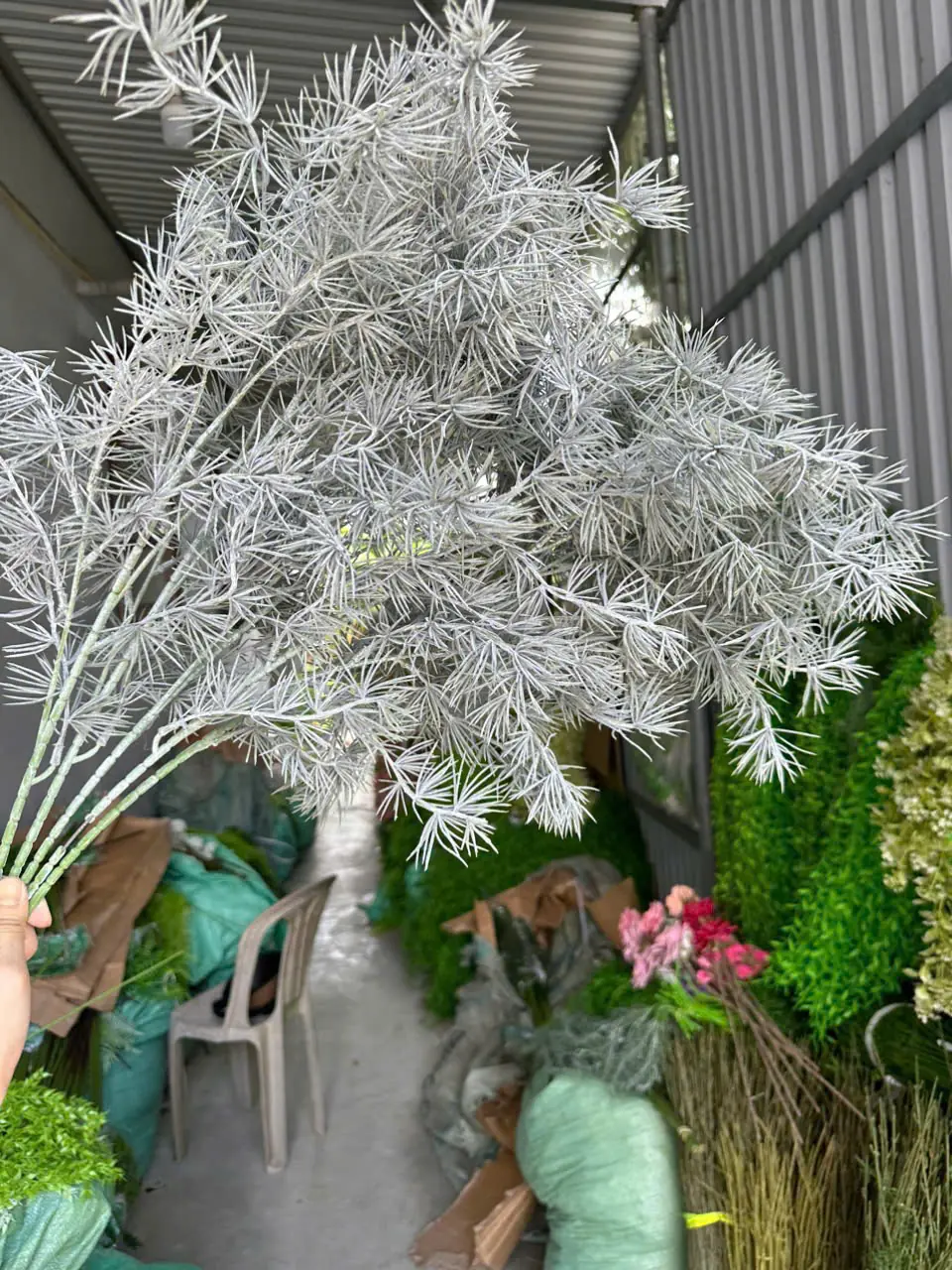 Điểm Thông Đại - Ảnh 2