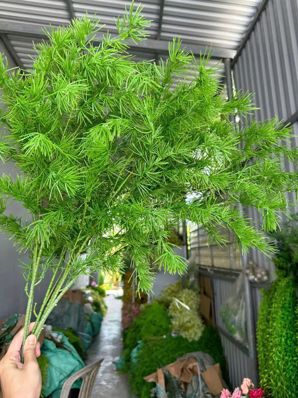 Điểm Thông Đại - Ảnh 4