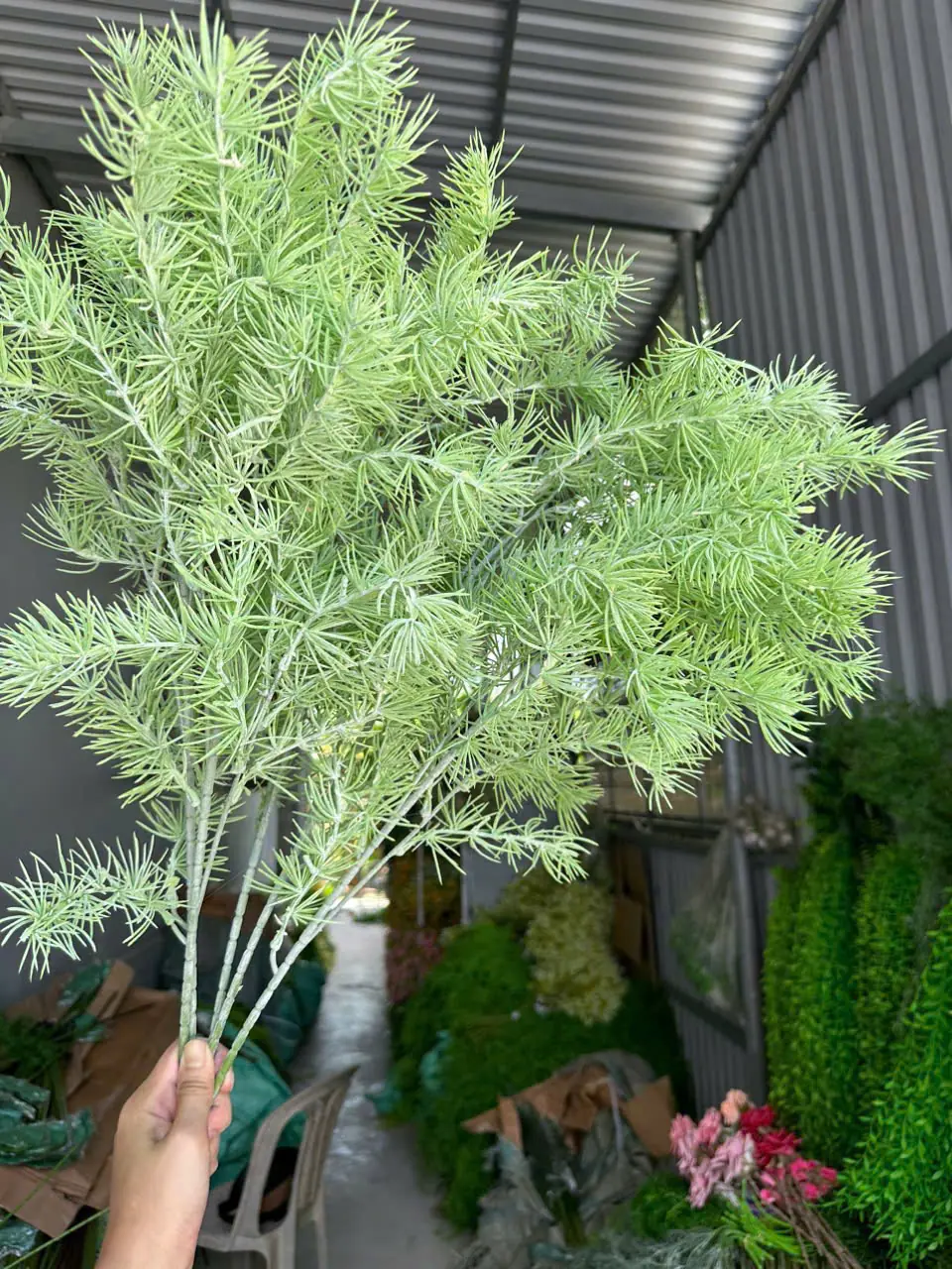 Điểm Thông Đại - Ảnh 7