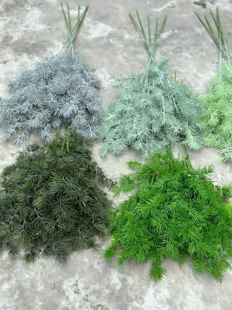 Điểm Thông Đại - Ảnh 8