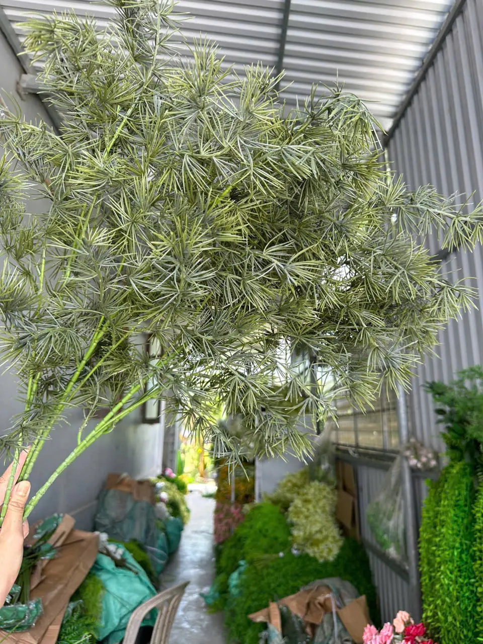 Điểm Thông Đại - Ảnh 9