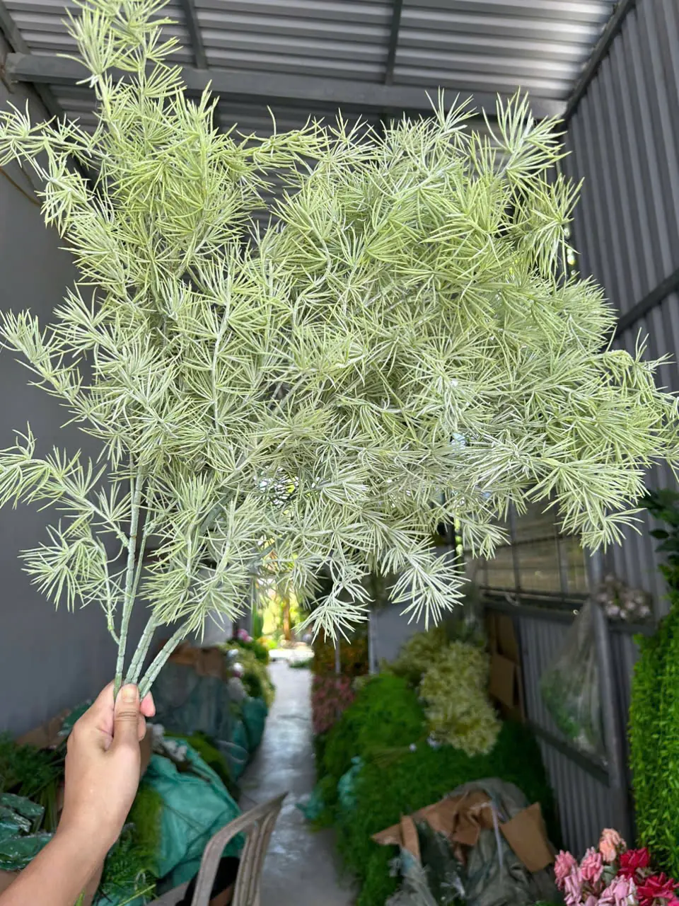 Điểm Thông Đại - Ảnh 10