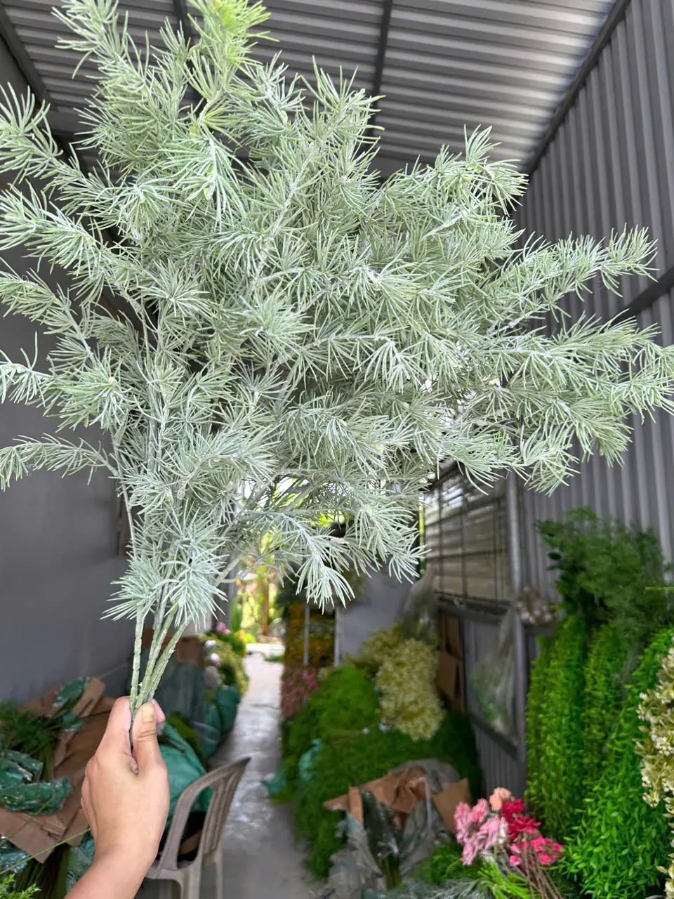 Điểm Thông Đại - Ảnh 11