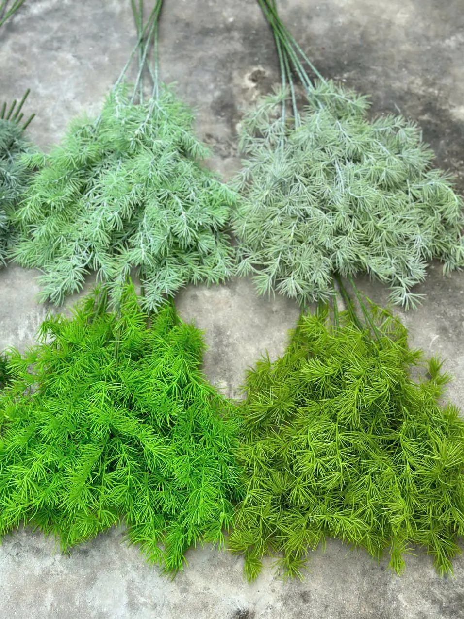 Điểm Thông Đại - Ảnh 12