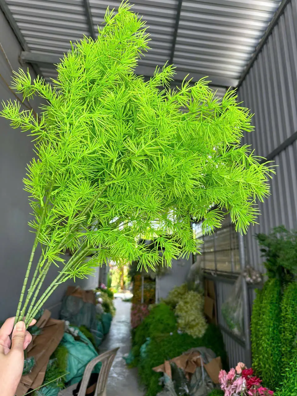 Điểm Thông Đại - Ảnh 13