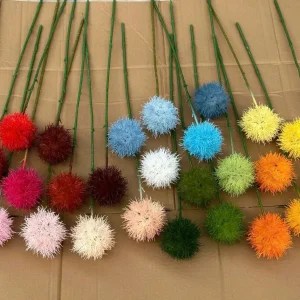 Điểm Tú Cầu Gai