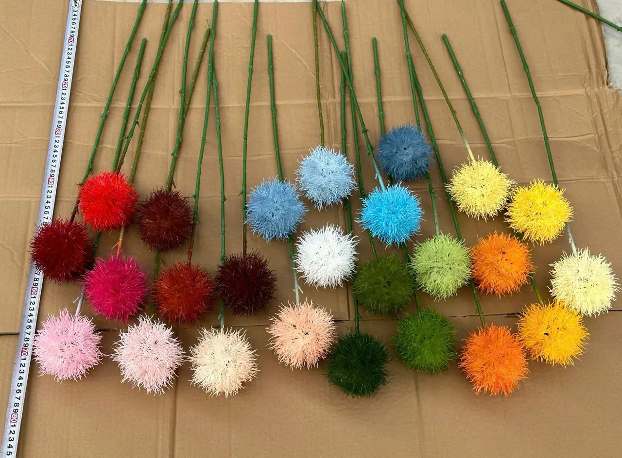 Điểm Tú Cầu Gai