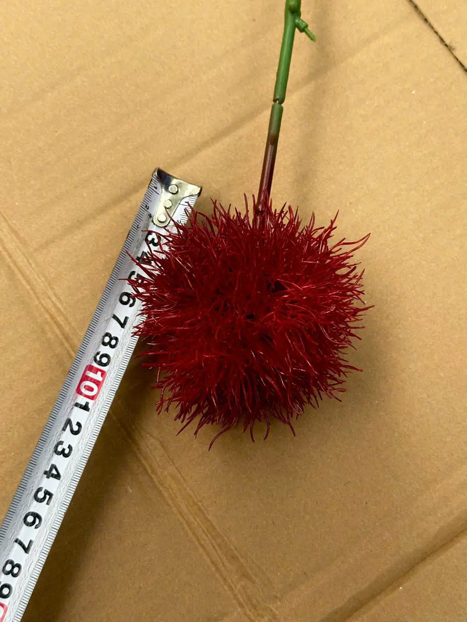 Điểm Tú Cầu Gai - Ảnh 7