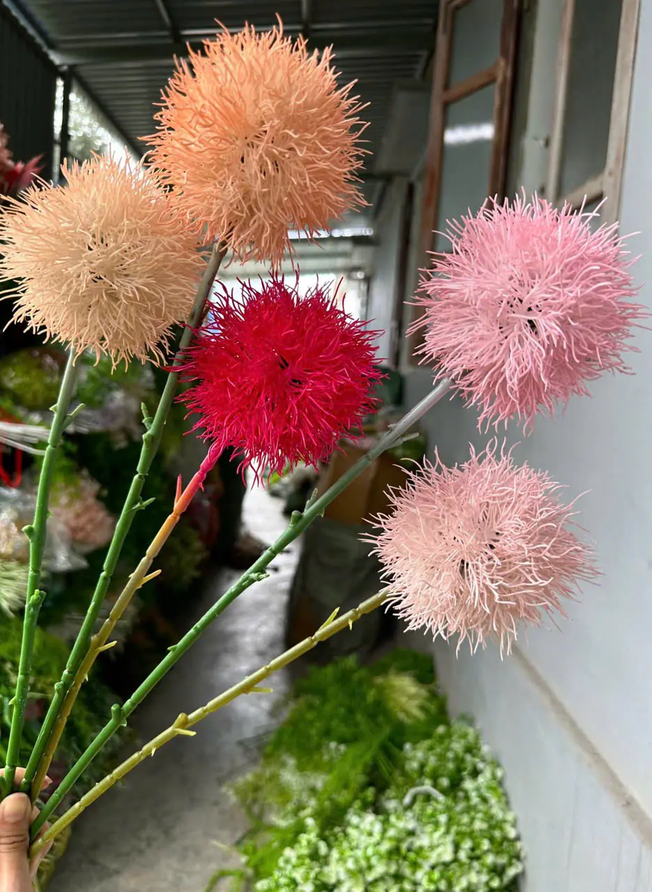 Điểm Tú Cầu Gai - Ảnh 8