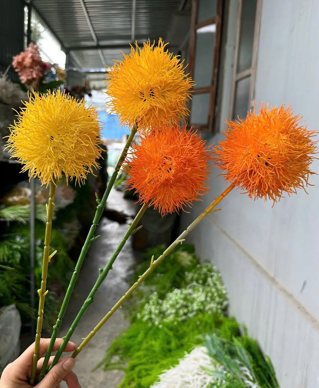 Điểm Tú Cầu Gai - Ảnh 10