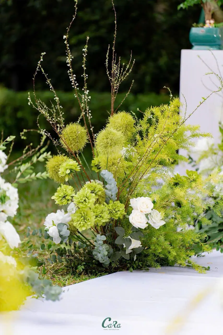 Điểm Tú Cầu Gai - Ảnh 11