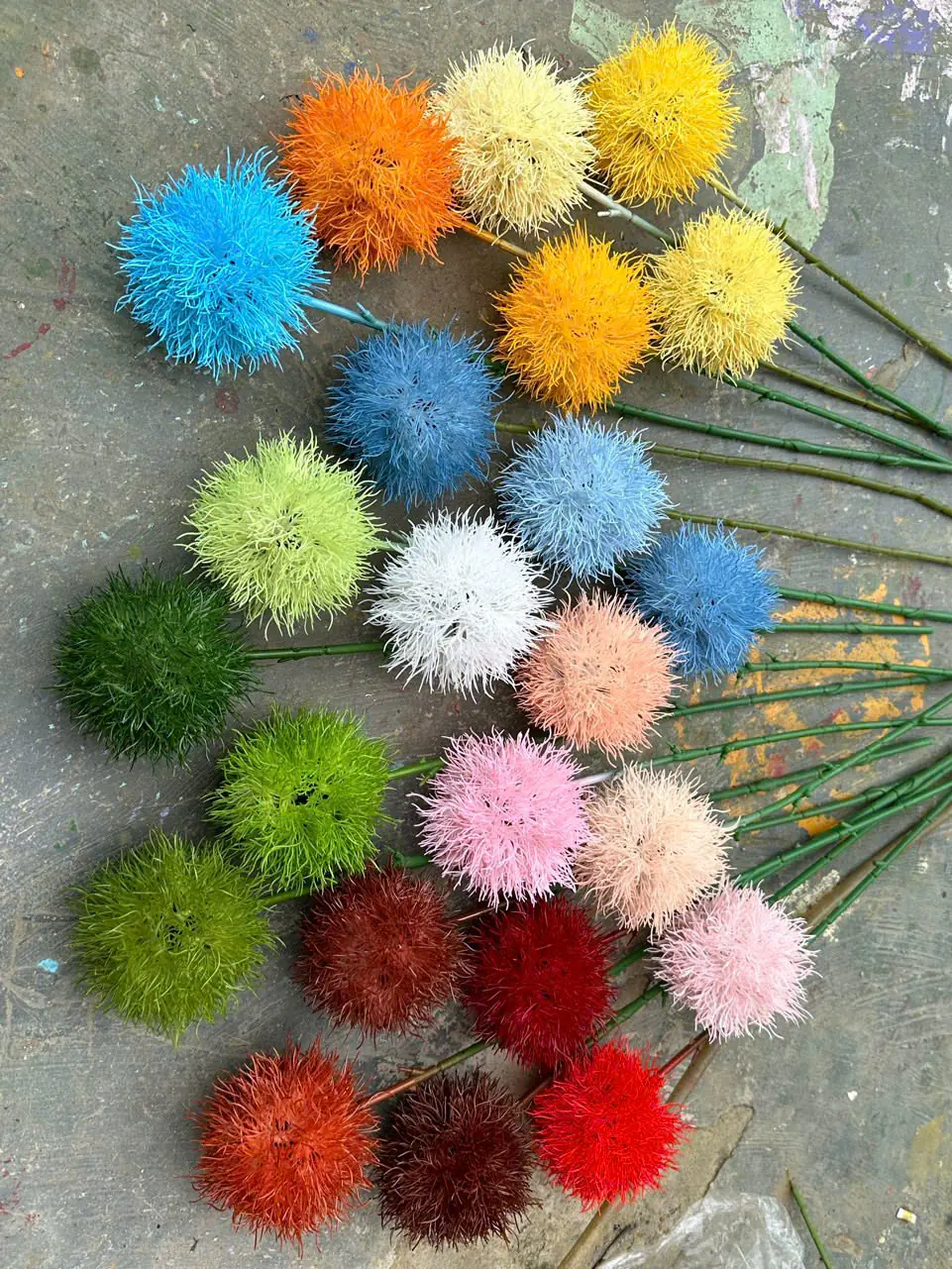 Điểm Tú Cầu Gai - Ảnh 13