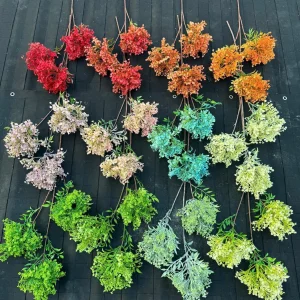 Điểm Tú Cầu Hoa Sữa