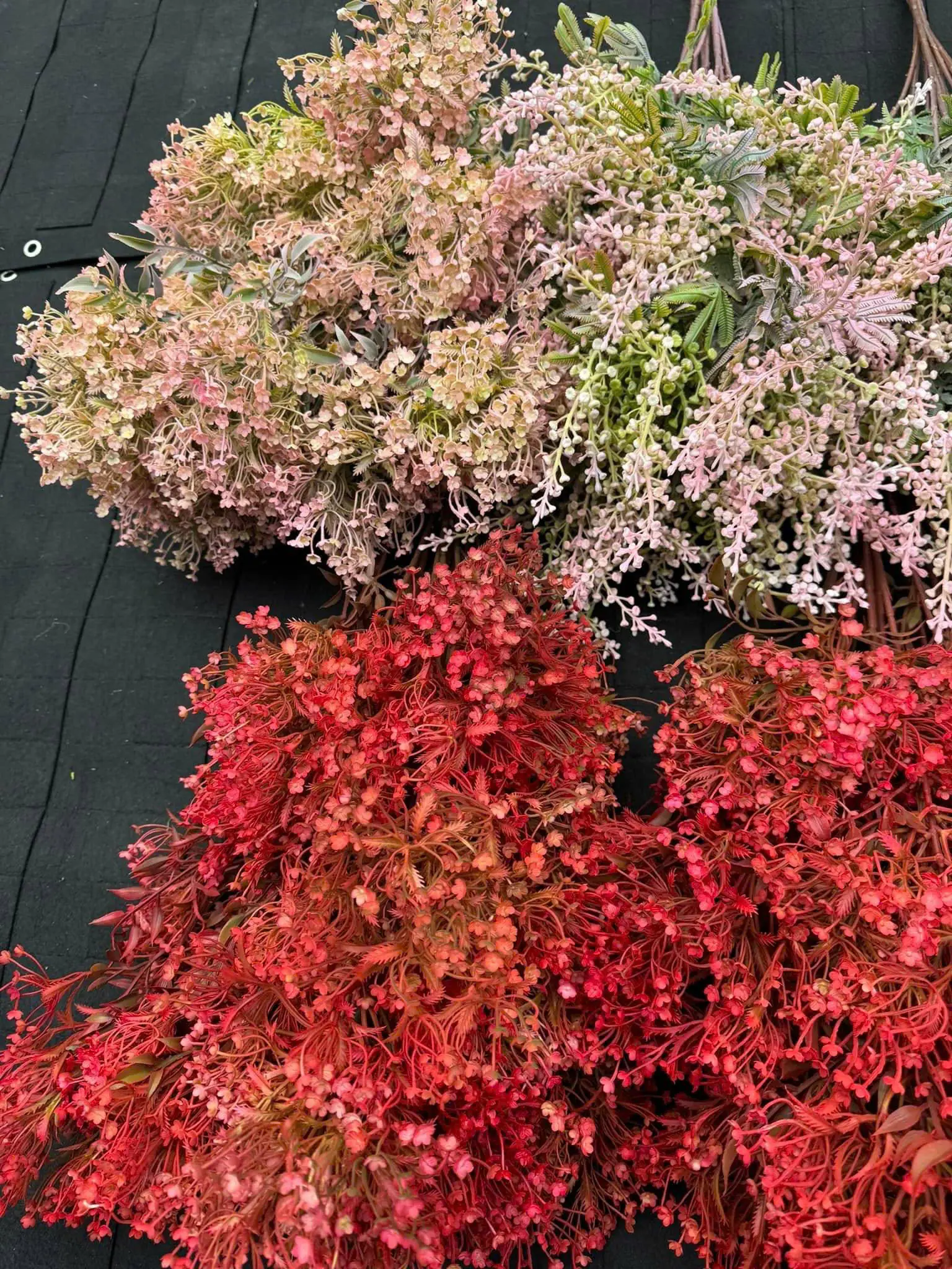 Điểm Tú Cầu Hoa Sữa - Ảnh 3