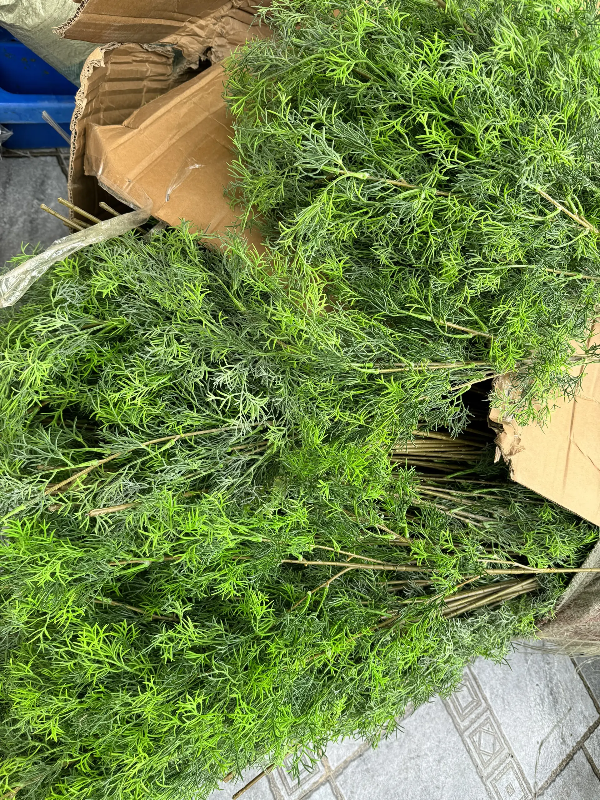 Điểm Tùng Nho Víp - Ảnh 7