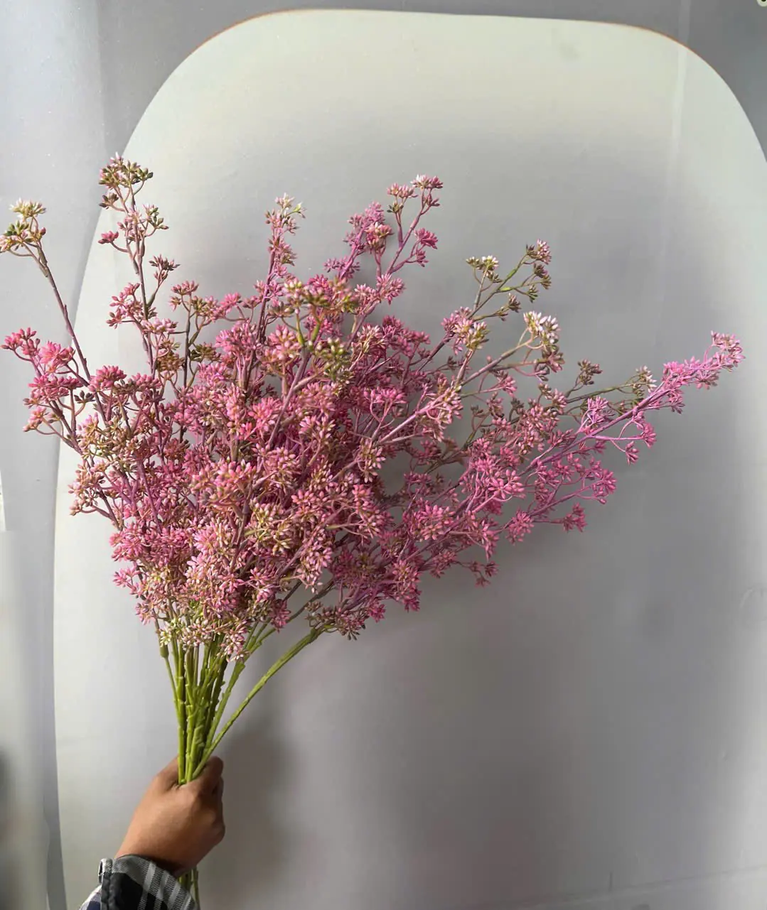 Điểm Tuyết Mai Nụ Sẵn - Ảnh 2