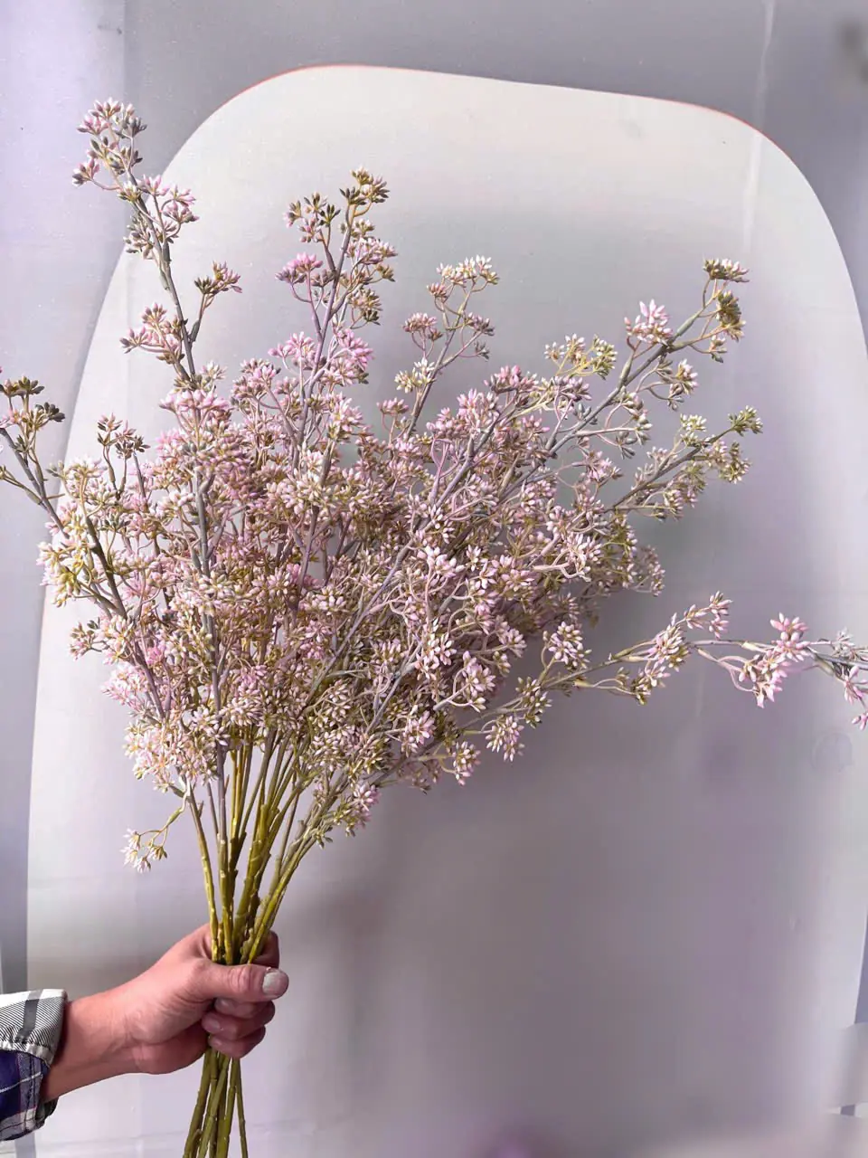 Điểm Tuyết Mai Nụ Sẵn - Ảnh 3