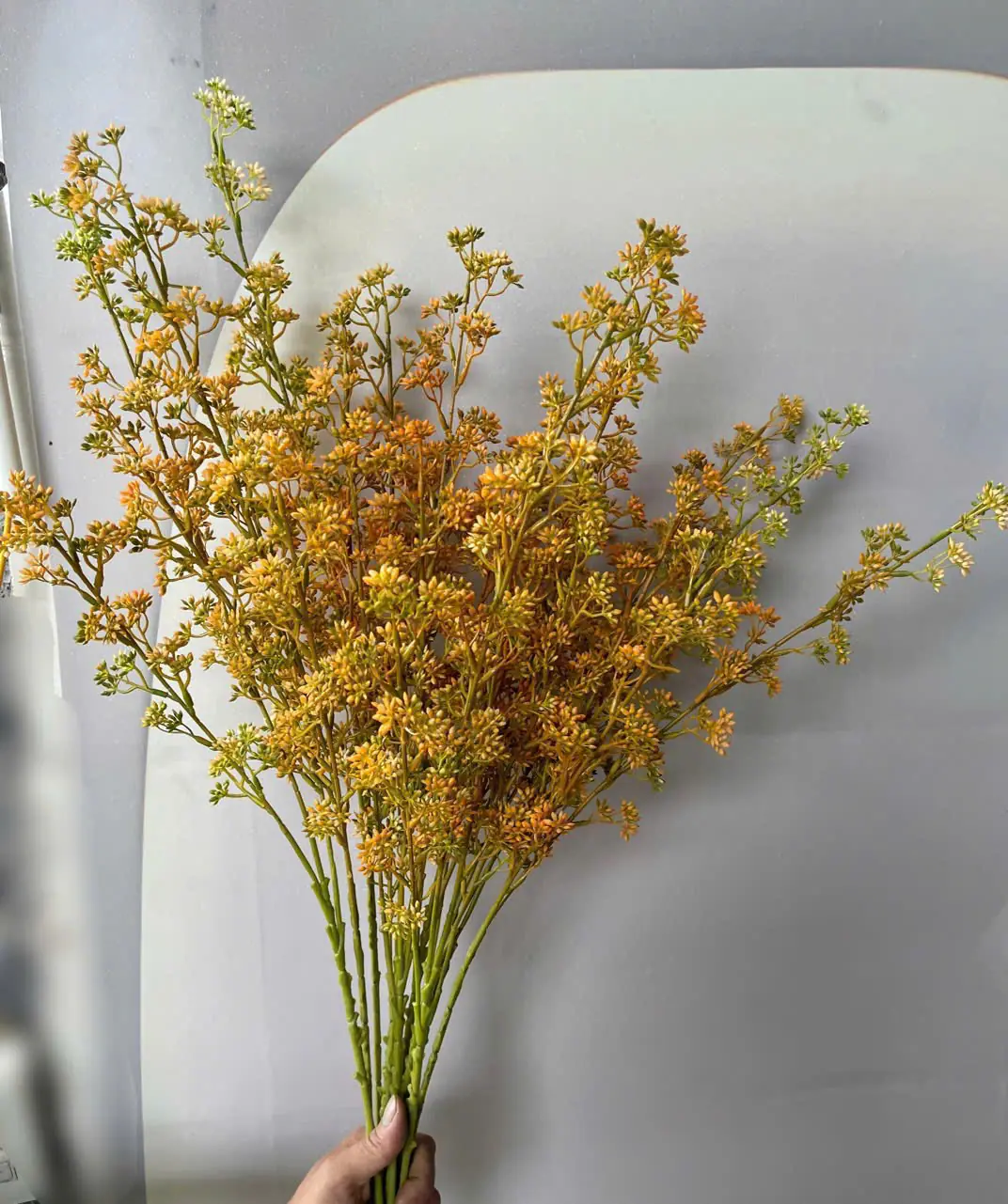 Điểm Tuyết Mai Nụ Sẵn - Ảnh 5