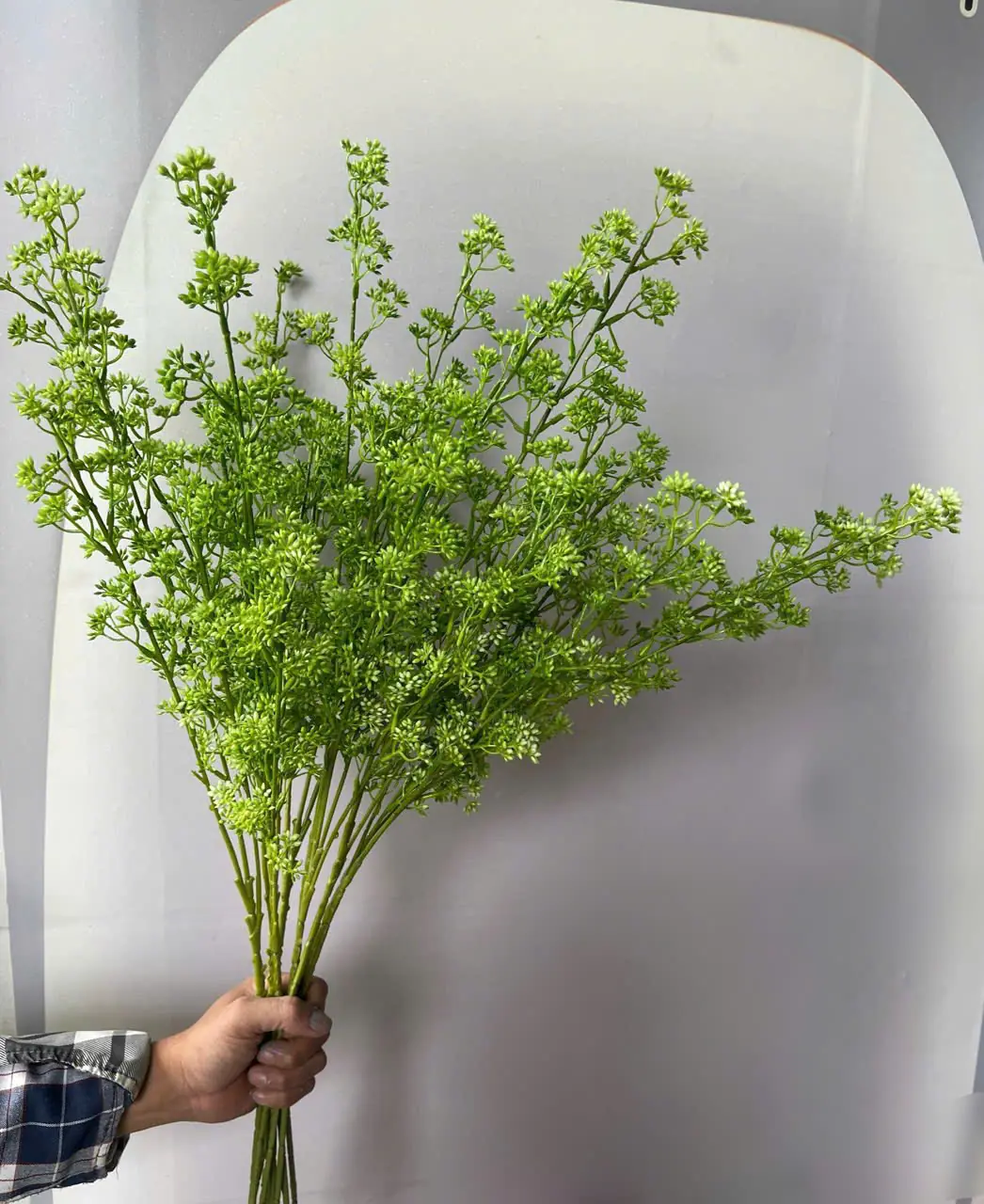 Điểm Tuyết Mai Nụ Sẵn - Ảnh 6