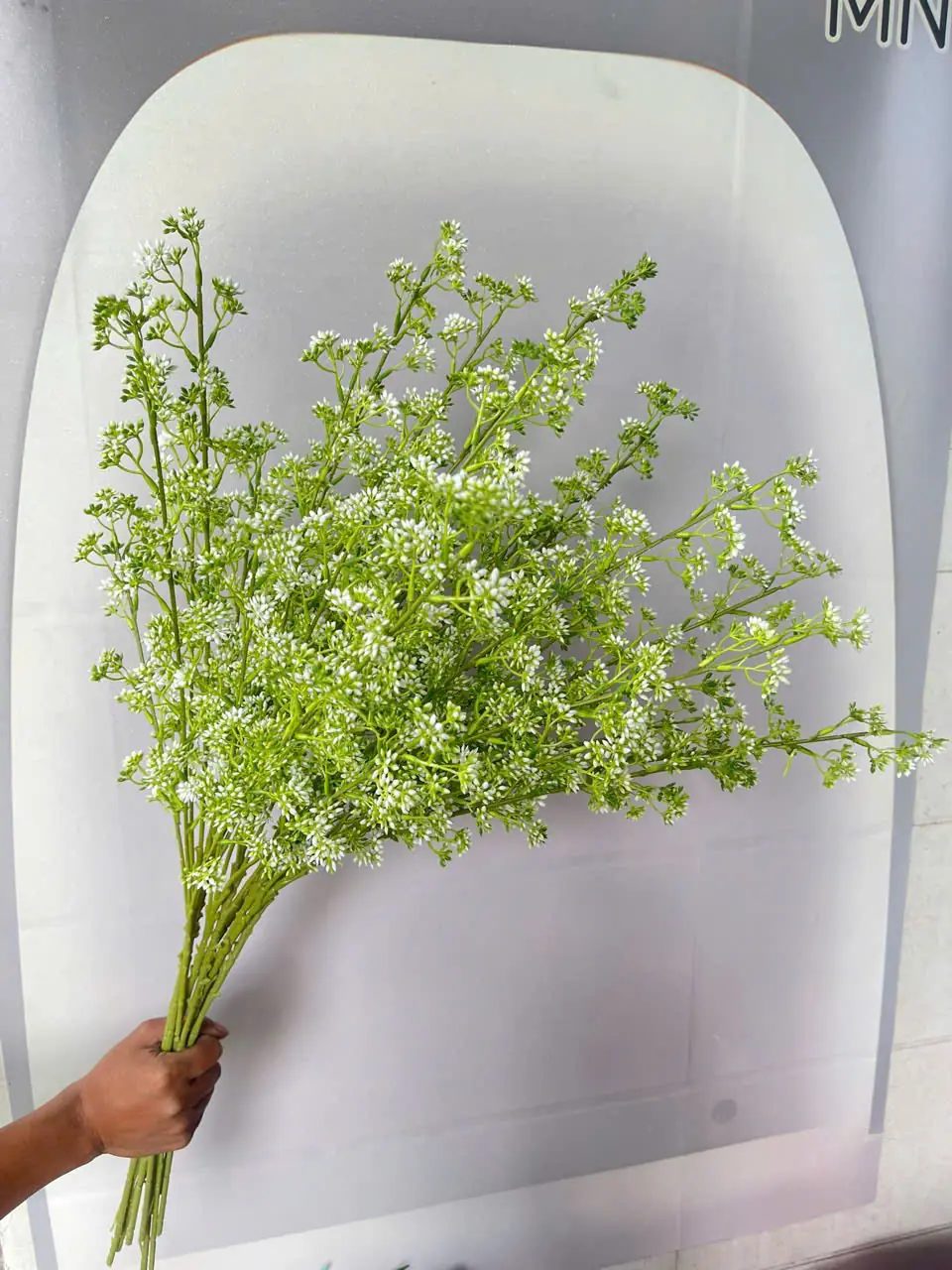 Điểm Tuyết Mai Nụ Sẵn - Ảnh 7