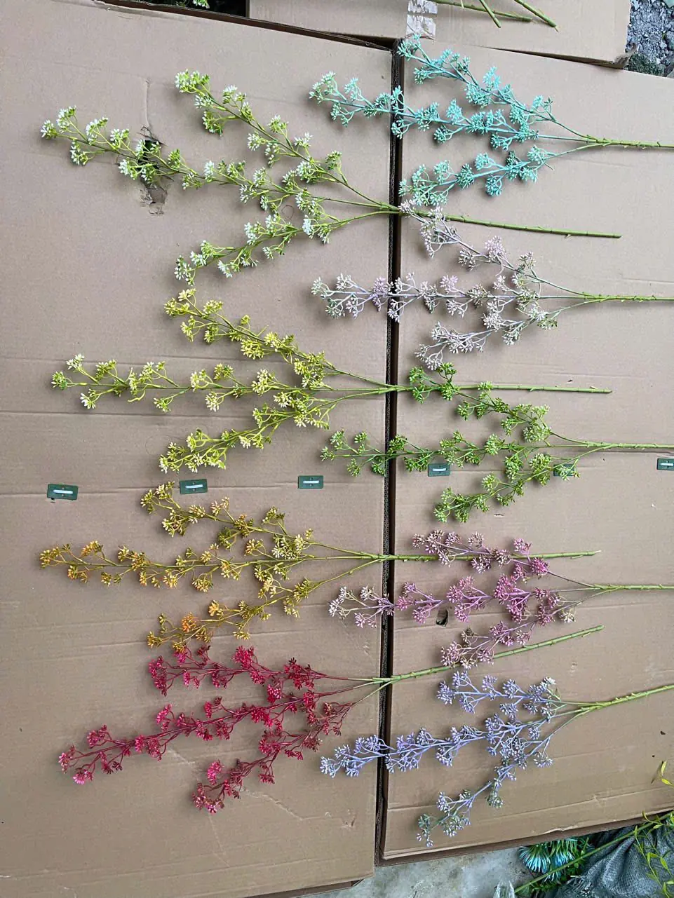 Điểm Tuyết Mai Nụ Sẵn - Ảnh 9