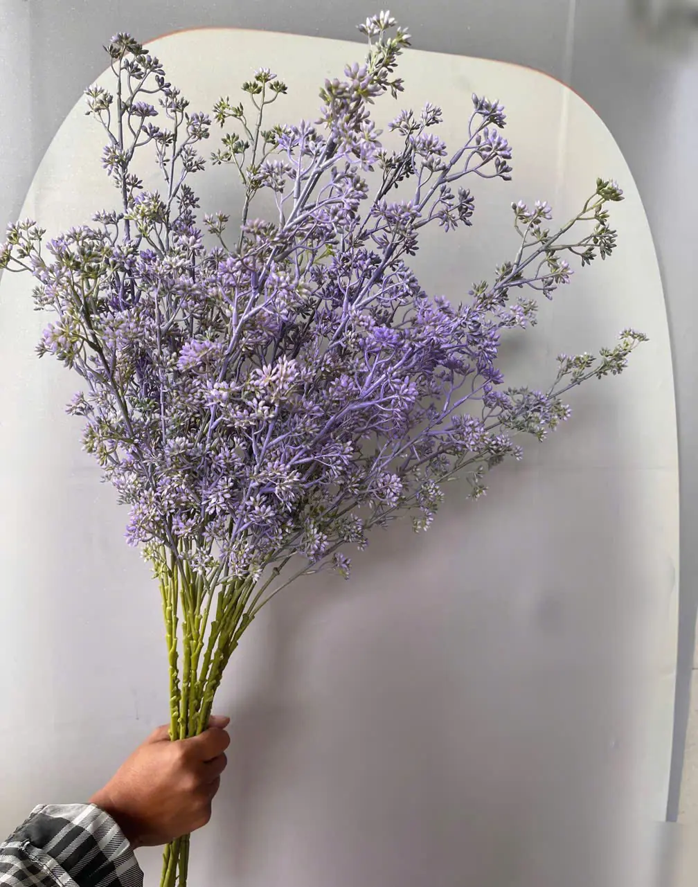 Điểm Tuyết Mai Nụ Sẵn - Ảnh 10