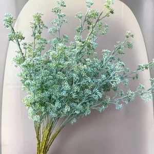 Điểm Tuyết Mai Nụ Sẵn