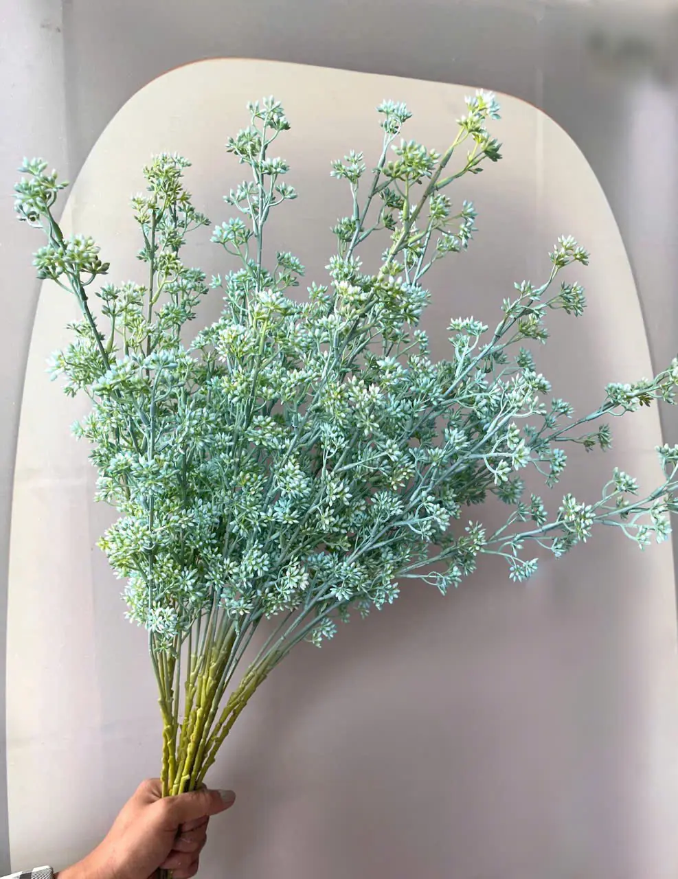 Điểm Tuyết Mai Nụ Sẵn