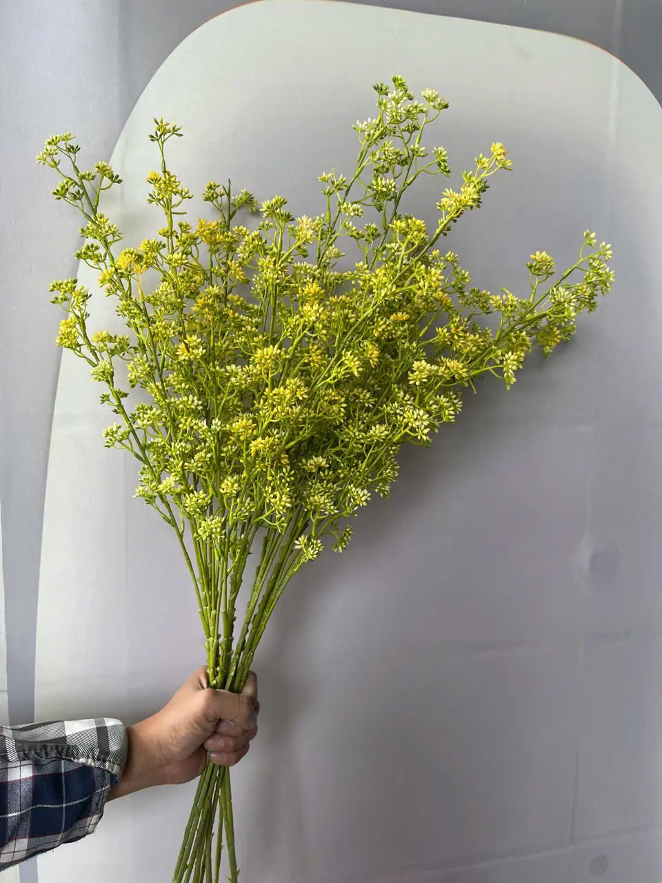 Điểm Tuyết Mai Nụ Sẵn - Ảnh 12