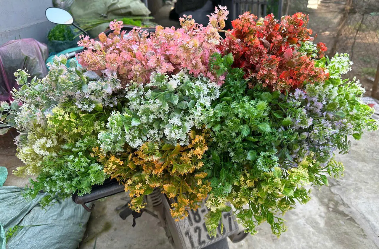 Điểm Tuyết Rơi Đủ Màu - Ảnh 5