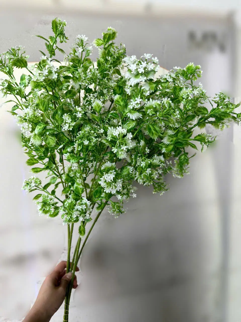 Điểm Tuyết Rơi Đủ Màu - Ảnh 6