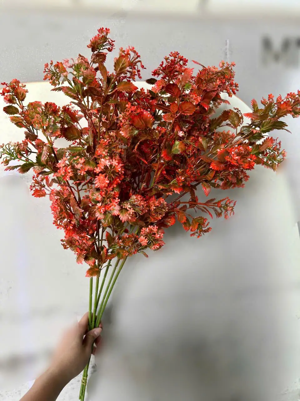 Điểm Tuyết Rơi Đủ Màu - Ảnh 7