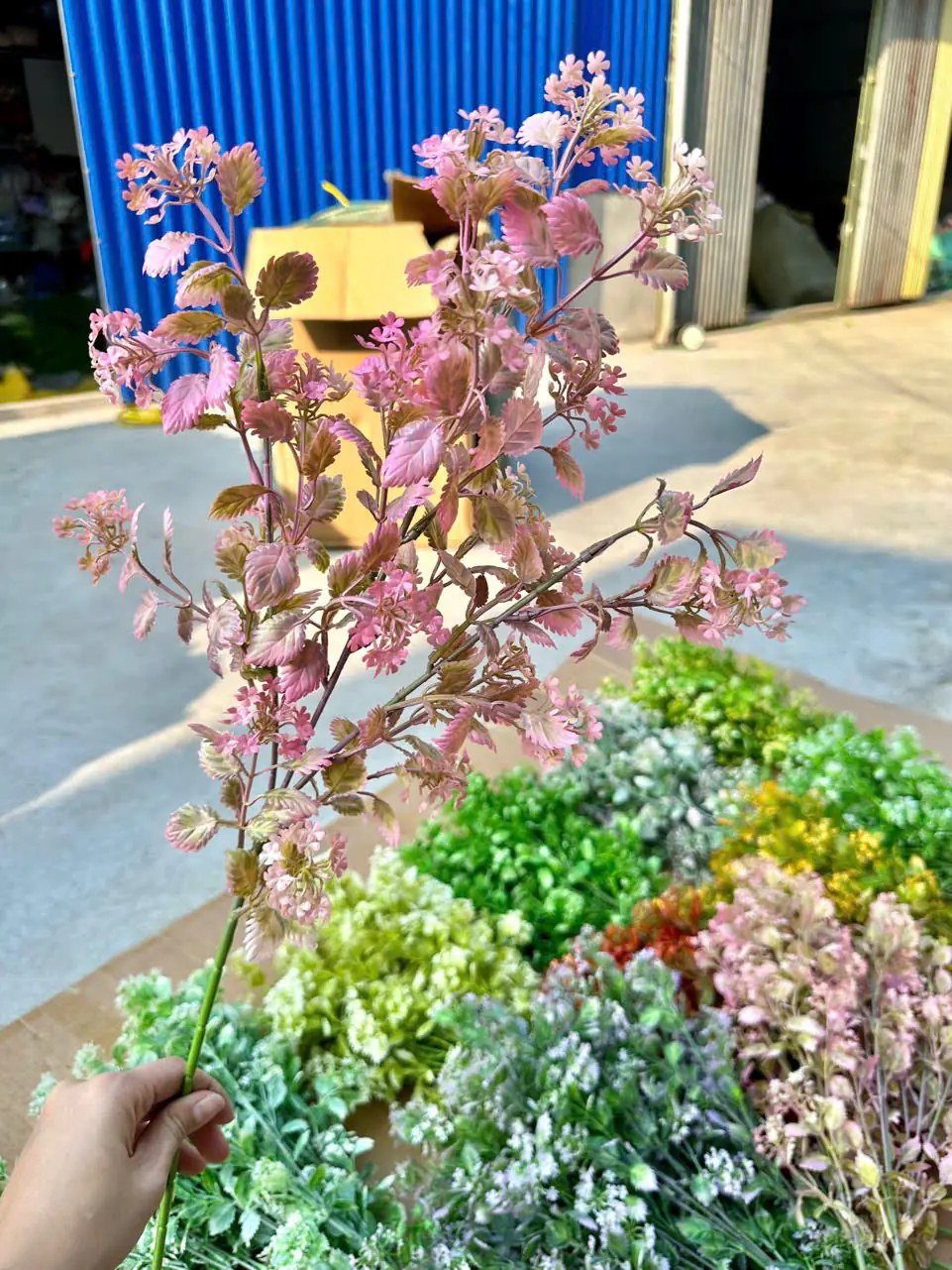 Điểm Tuyết Rơi Đủ Màu - Ảnh 10