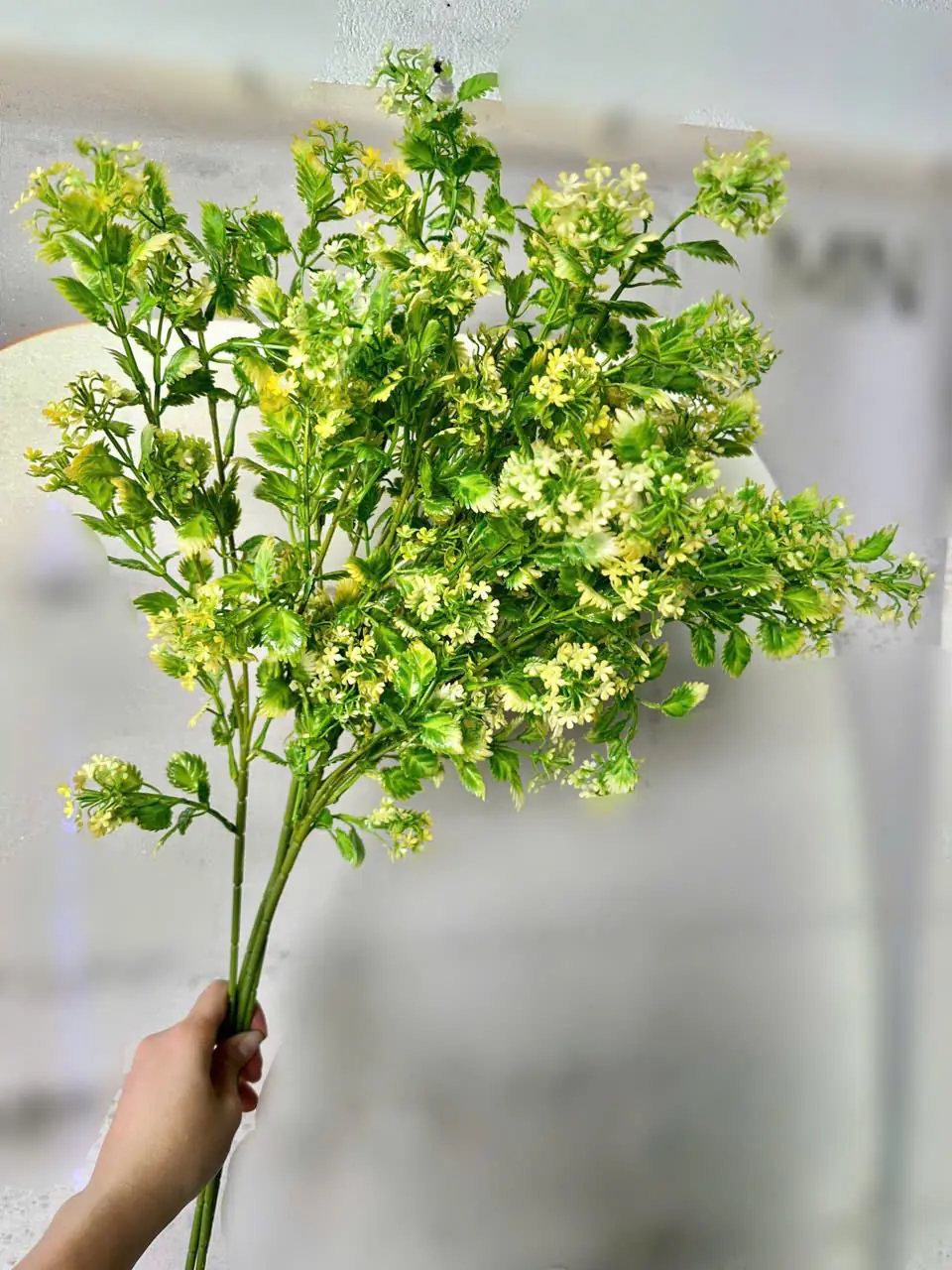 Điểm Tuyết Rơi Đủ Màu - Ảnh 13