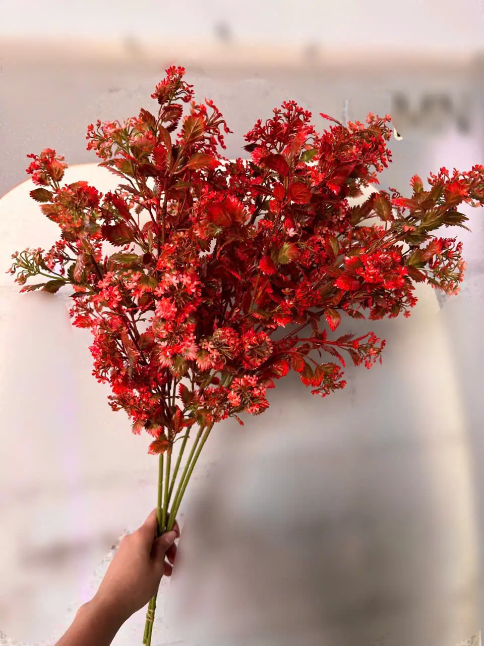 Điểm Tuyết Rơi Đủ Màu - Ảnh 16