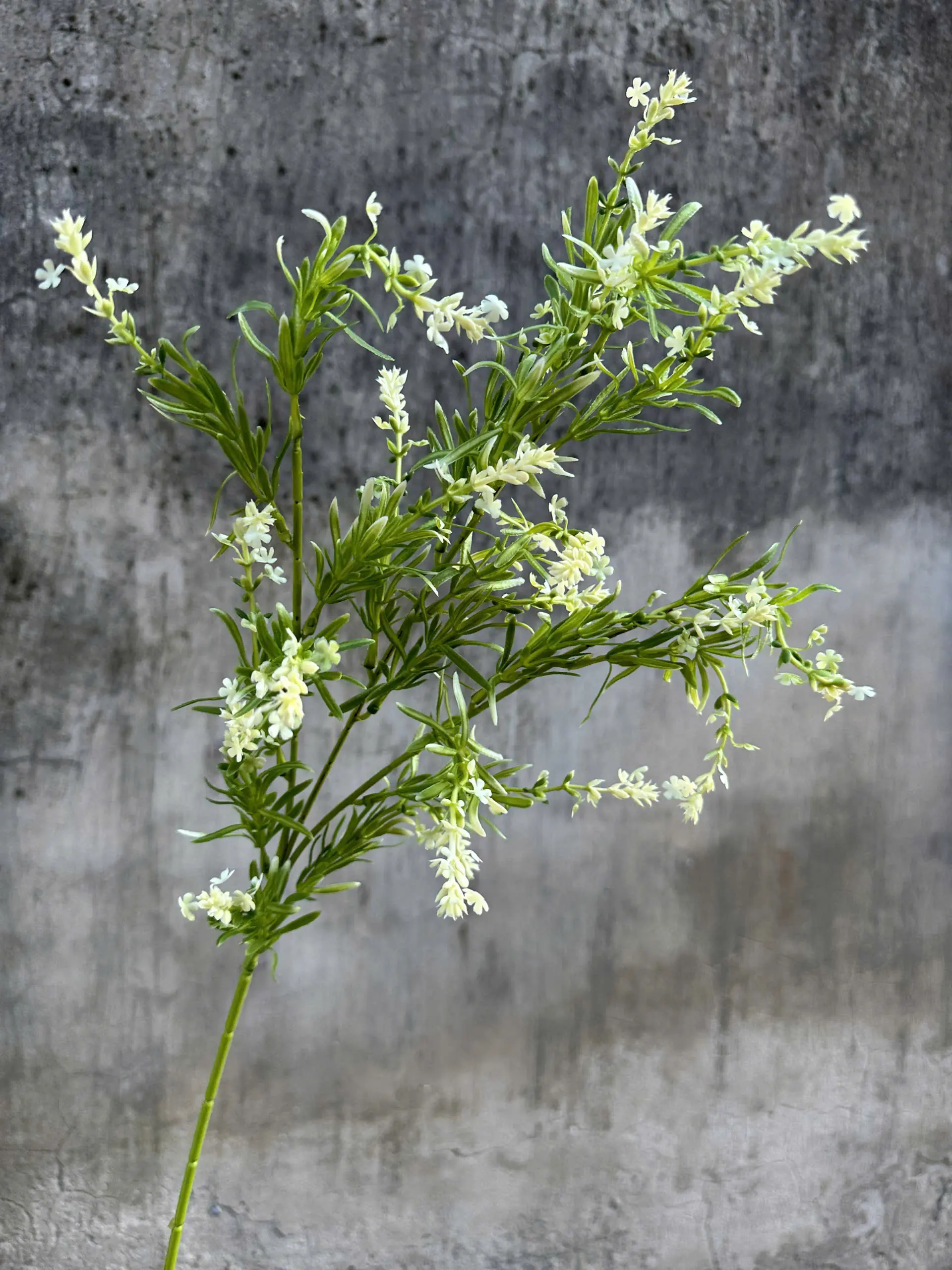 Điểm Violet - Ảnh 2