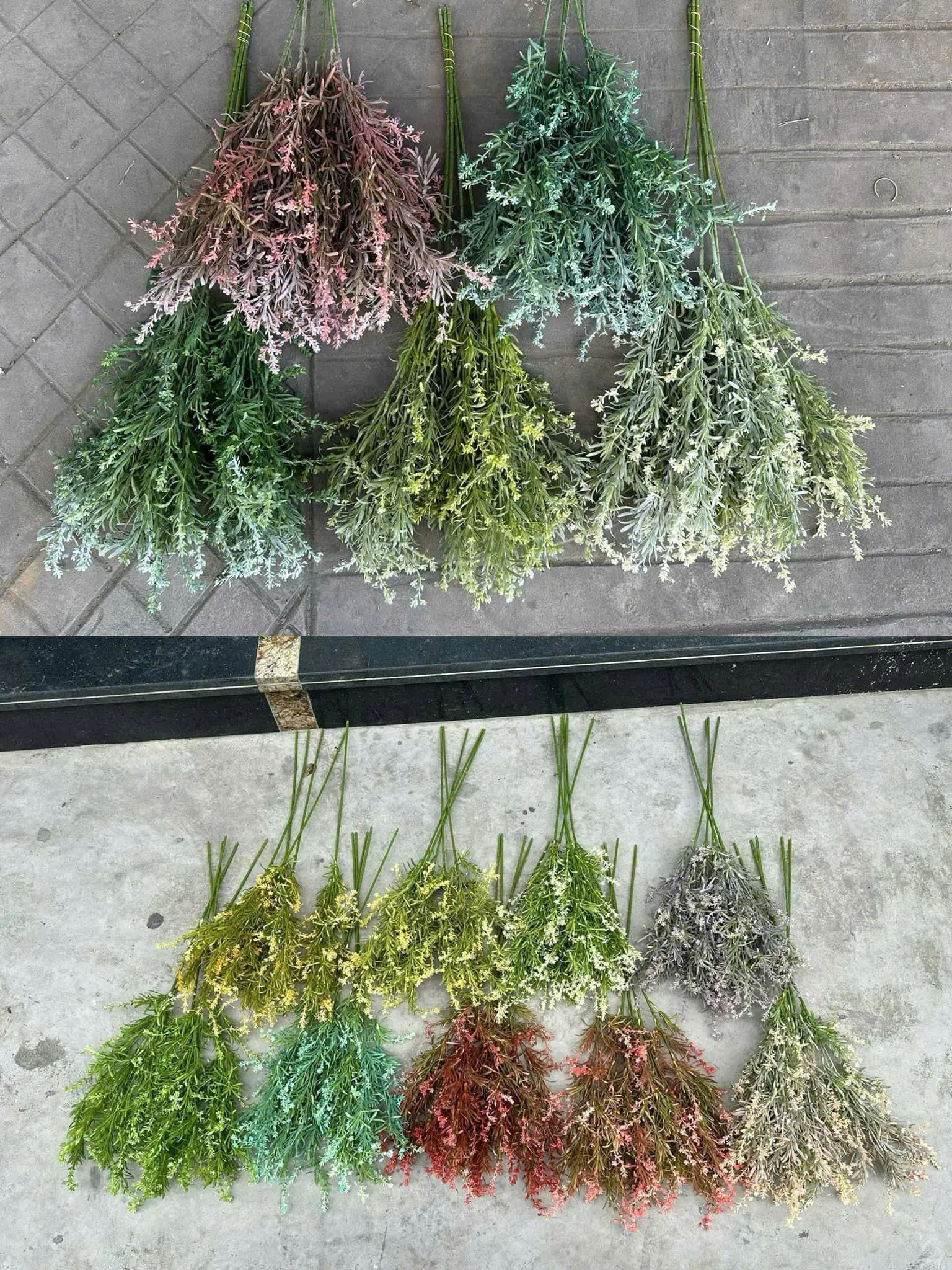 Điểm Violet - Ảnh 3