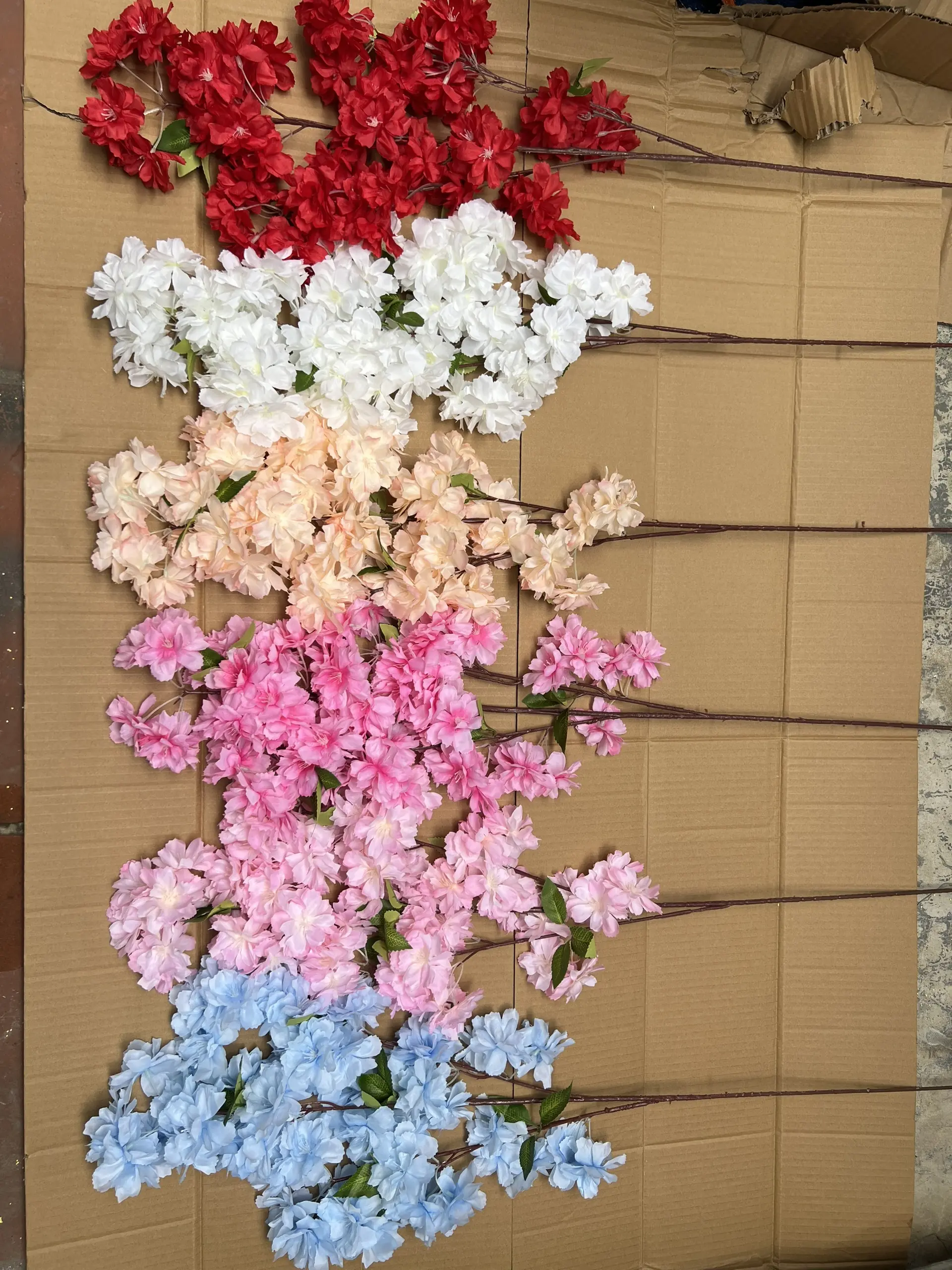 Hoa Anh Đào Chùm - Ảnh 3