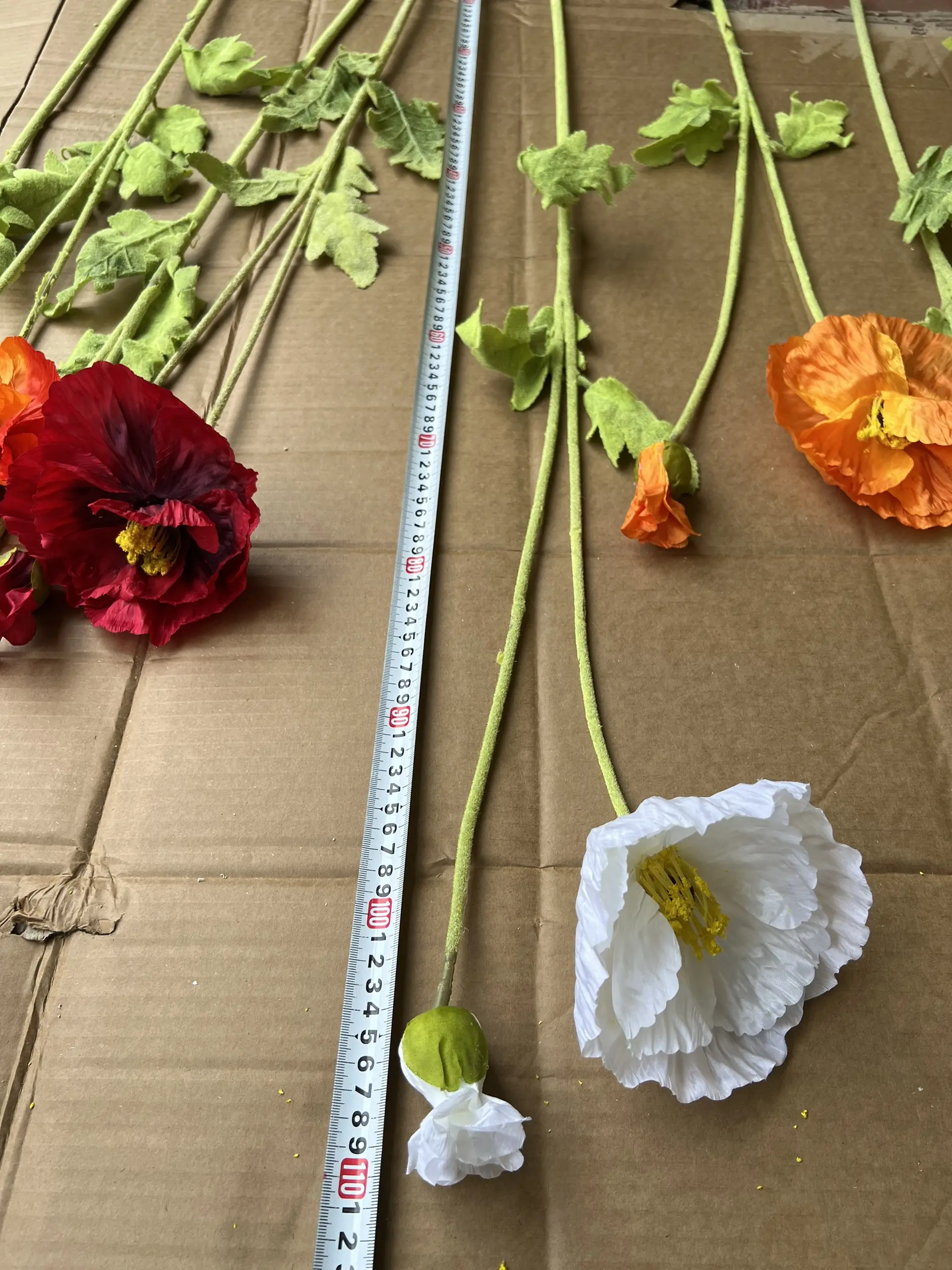 Hoa Anh Túc Đại - Ảnh 3