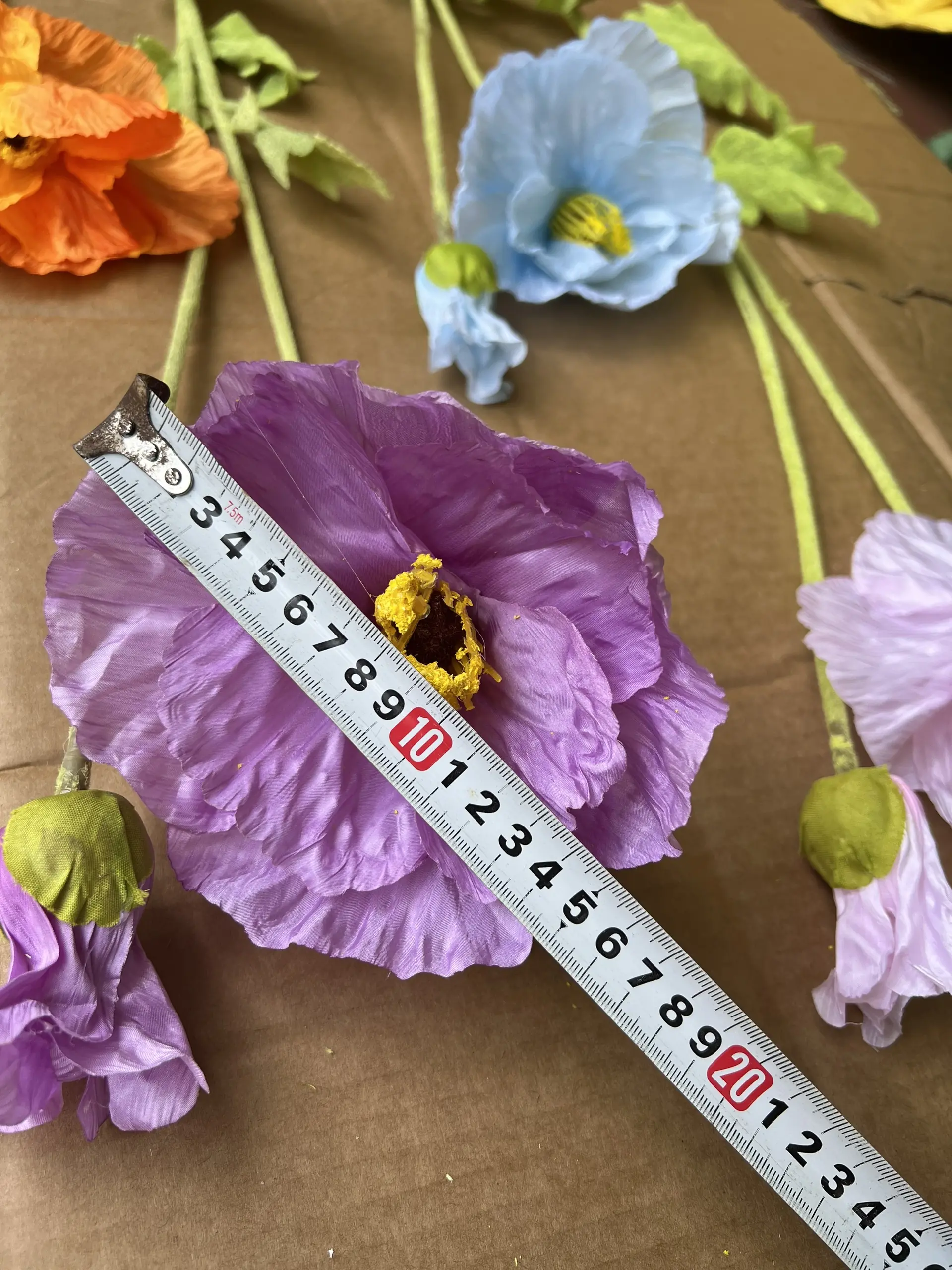 Hoa Anh Túc Đại - Ảnh 4