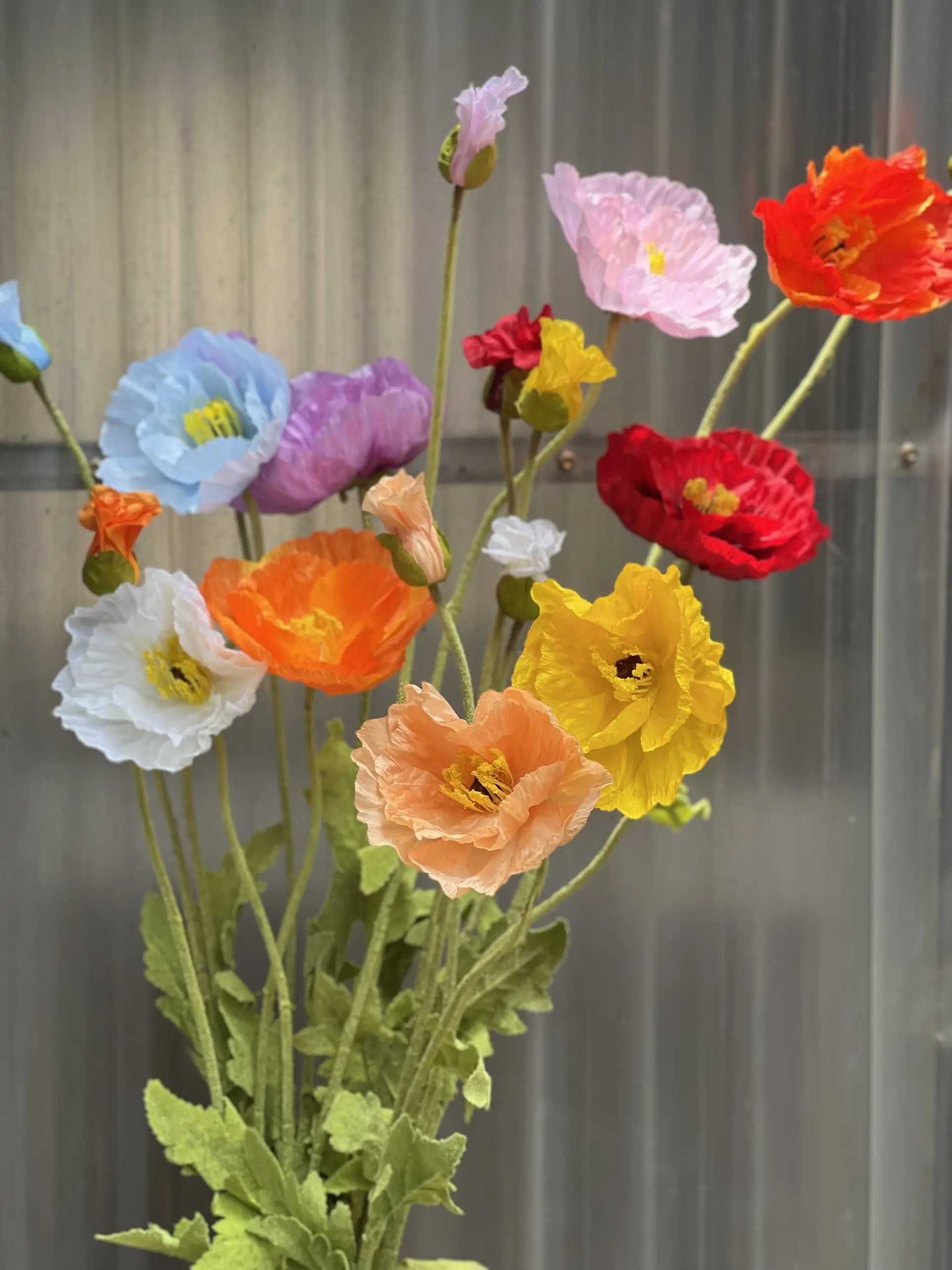 Hoa Anh Túc Đại - Ảnh 5