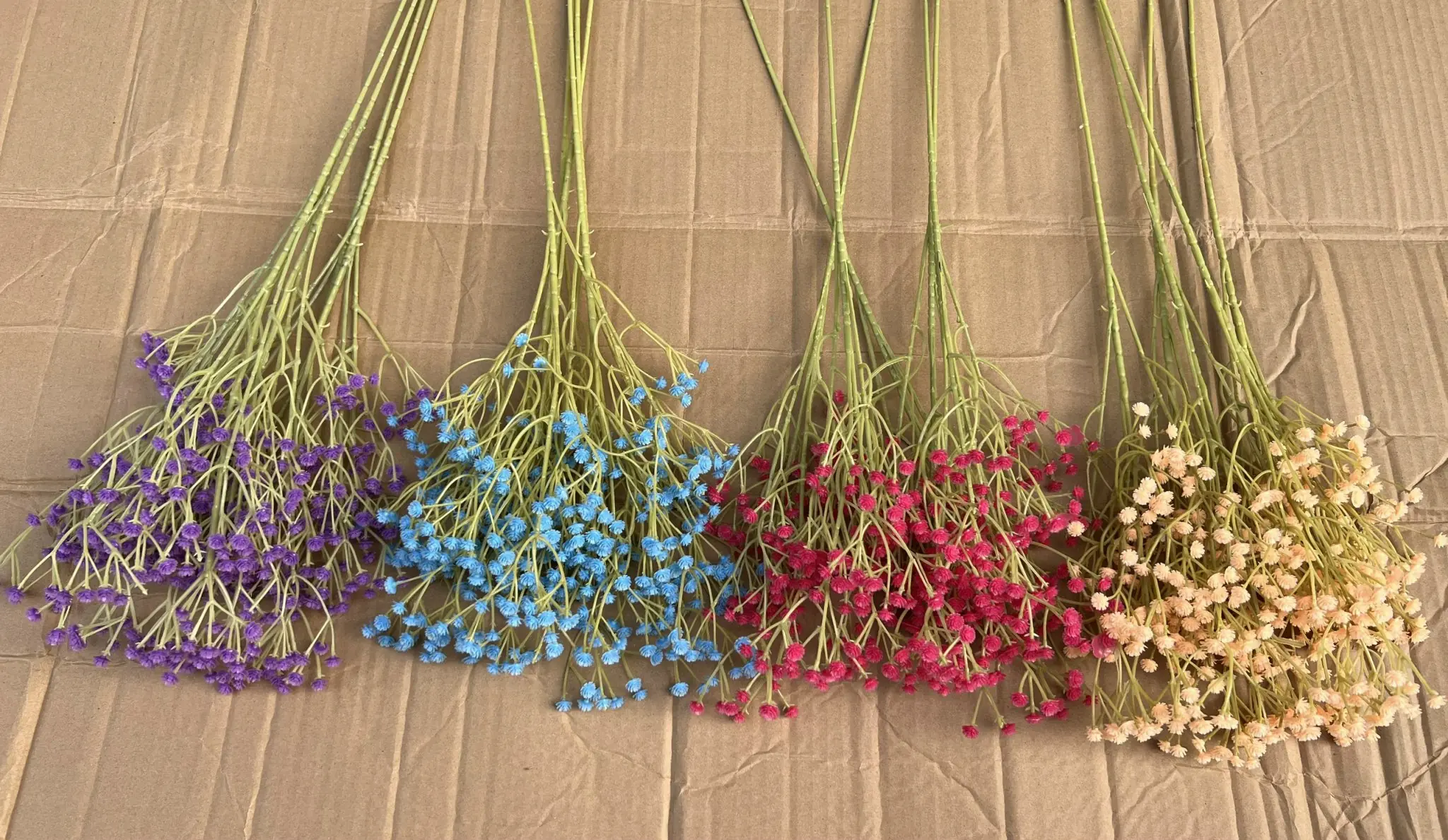 Hoa Baby Loại - Ảnh 3