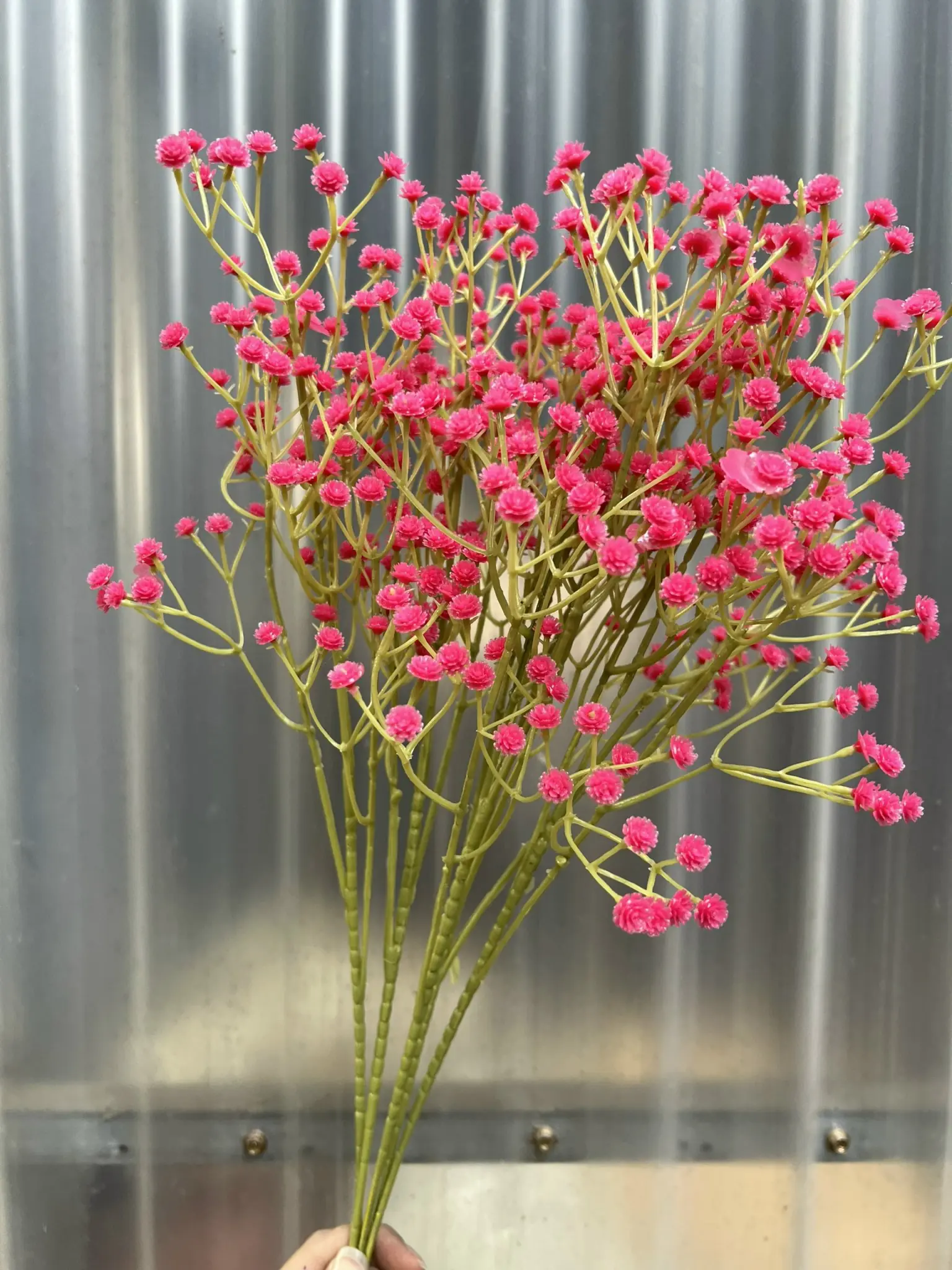 Hoa Baby Loại - Ảnh 4