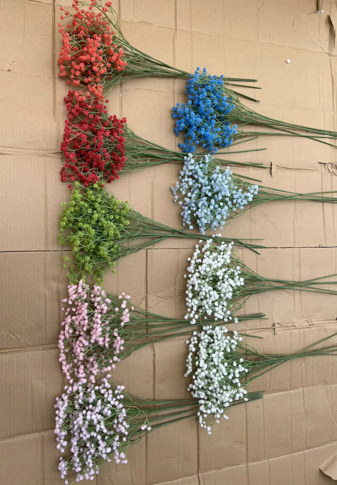 Hoa Baby Su Loại - Ảnh 5